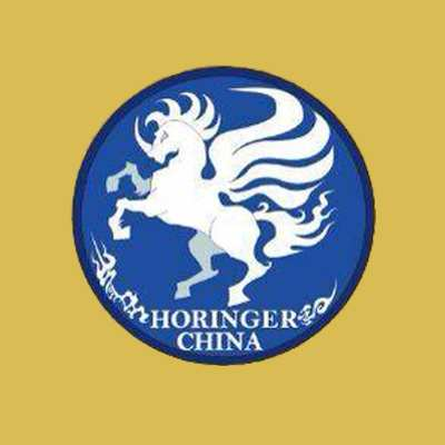 内蒙古盛乐蒙羊足球俱乐部