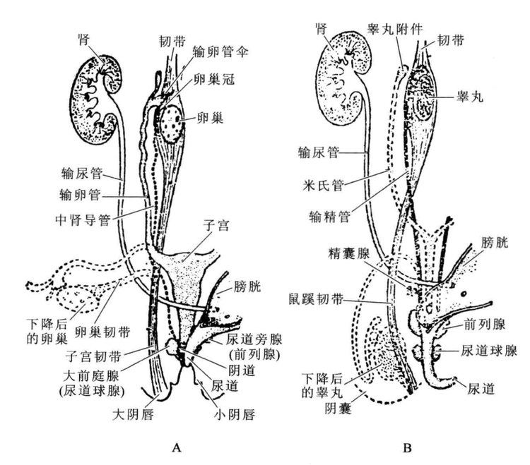 粘贴图片1-1694527198572.png