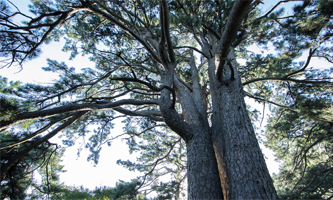 南五台风景名胜区