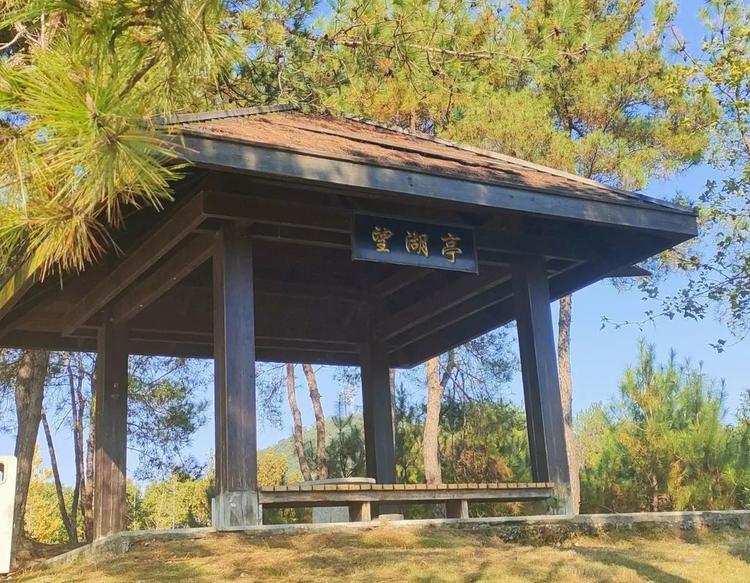 池州学院