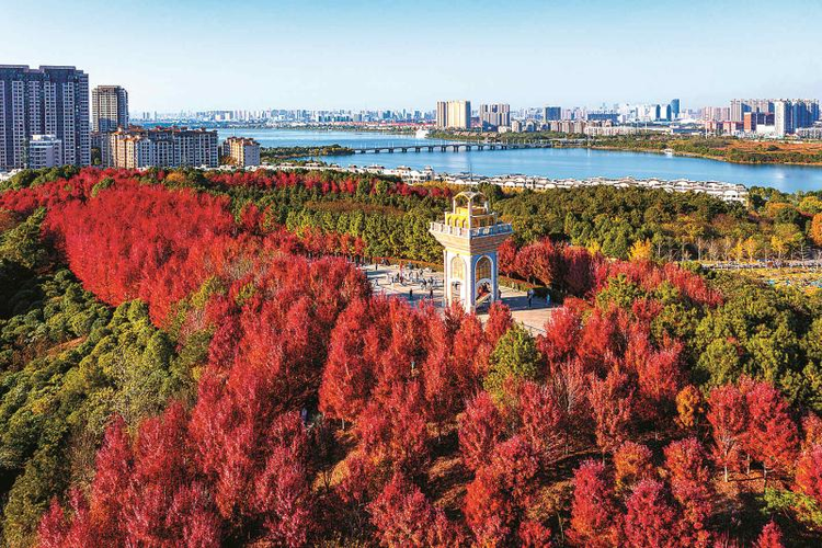 东西湖区