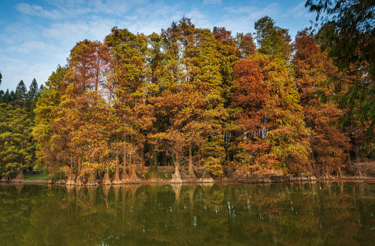 中国科学院华南植物园