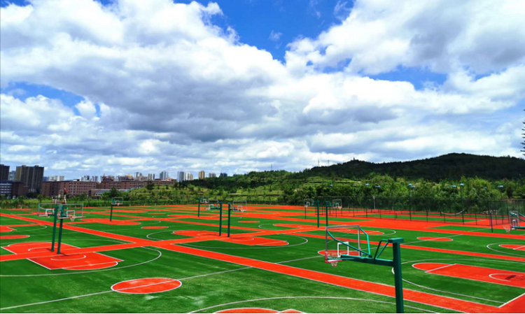 重庆健康职业学院