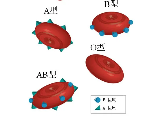 abad1henkh5.png