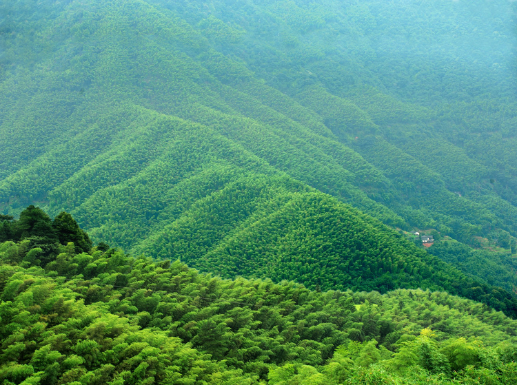 贵州赤水丹霞国家地质公园