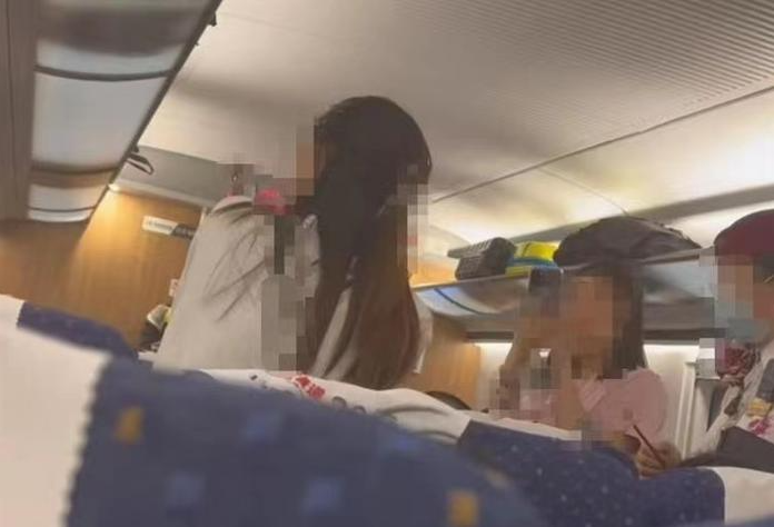 5·2高铁掌掴纠纷事件