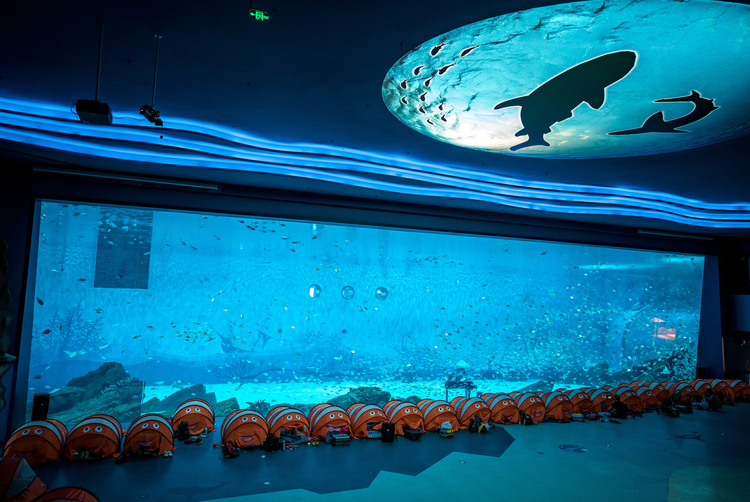 上海海洋水族馆