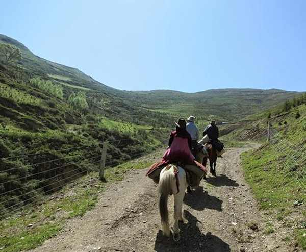 雪宝顶自然保护区