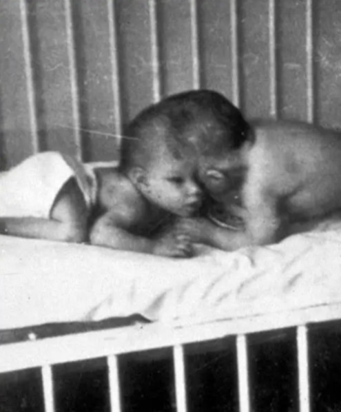 洛莉·斯坎普尔