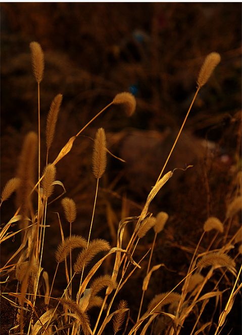 1695091237662.png