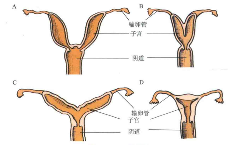 粘贴图片1-1694527185371.png