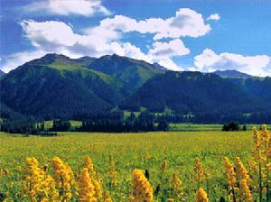 唐布拉国家森林公园