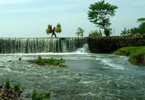 赵棚镇自然风景