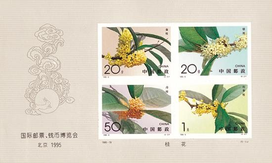 桂花