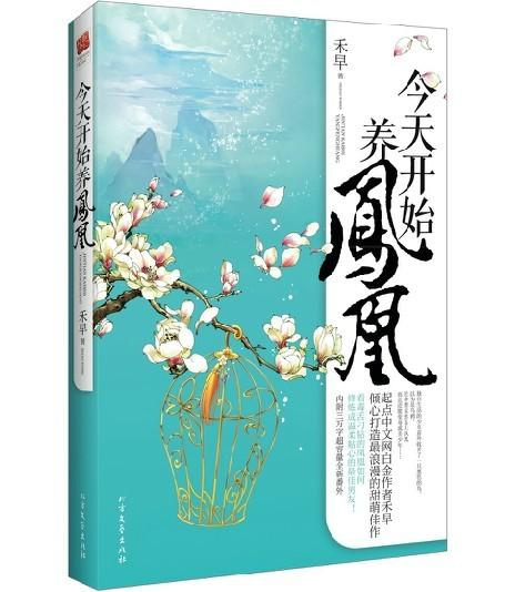 《今天开始养凤凰》书封插画