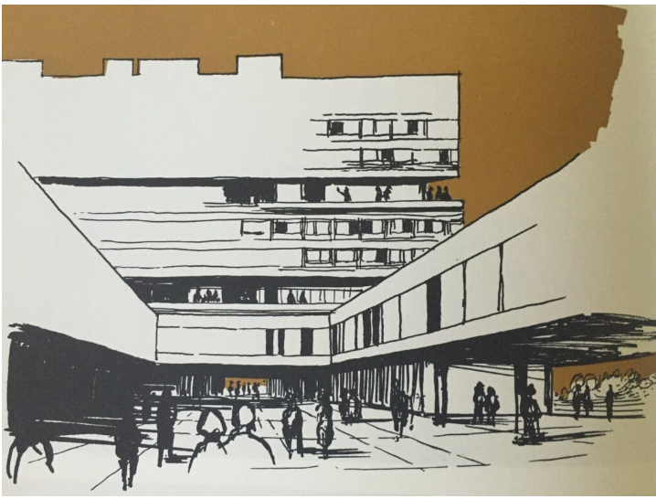 巴斯大学