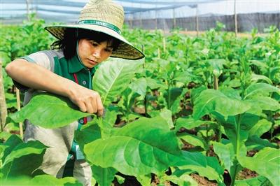 昌江黎族自治县