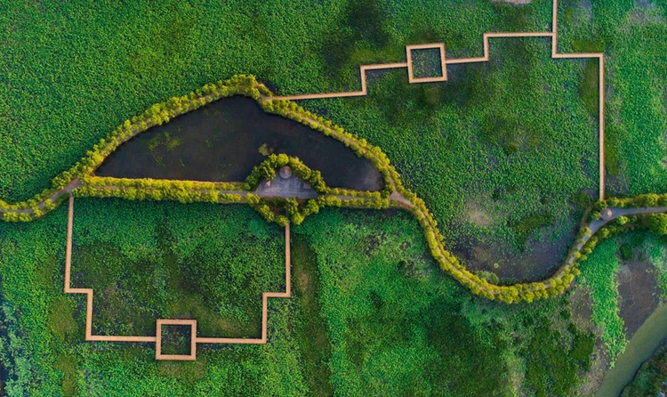 洪泽湖湿地景区