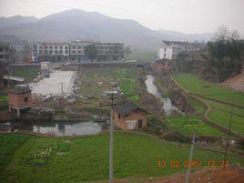 王家村