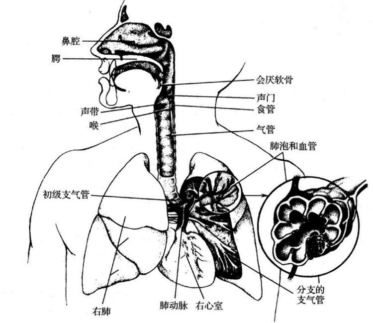 粘贴图片1-1694527024566.png