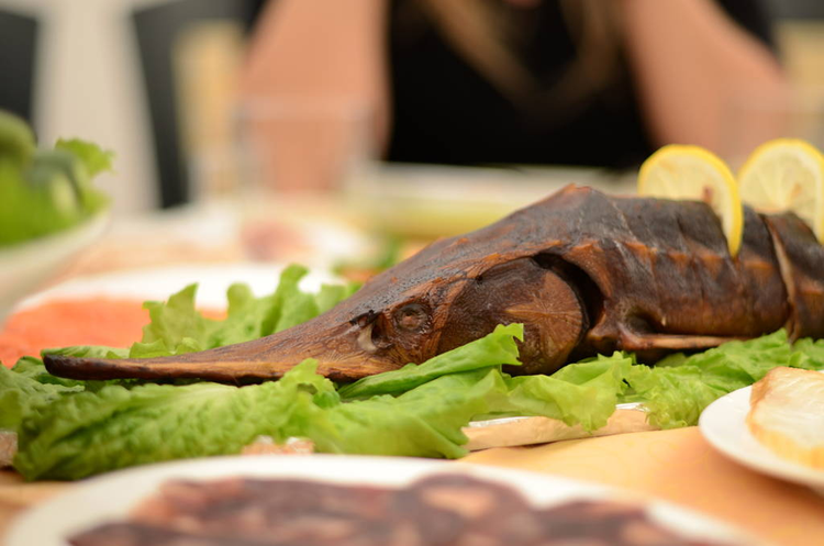 西伯利亚鲟鱼(Acipener baerii)-美味的肉The Siberian sturgeon (Acipenser baerii) - tasty flesh.jpeg