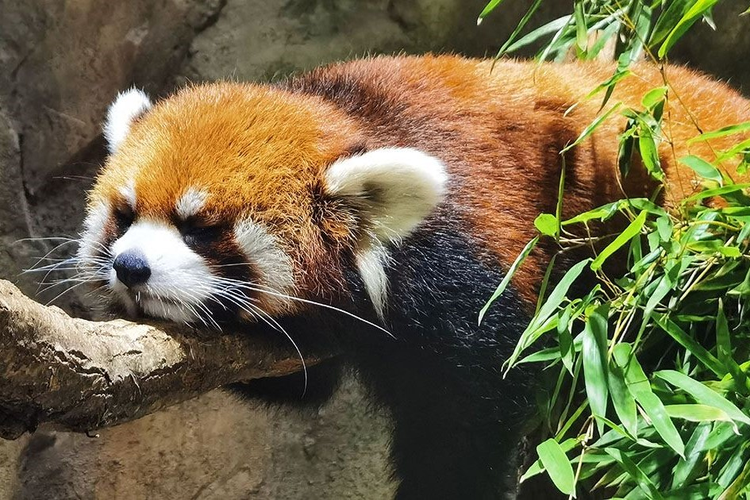 东西湖区
