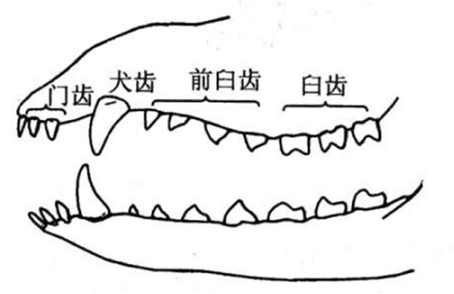 粘贴图片1-1694526934978.png
