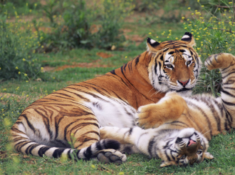 长沙生态动物园