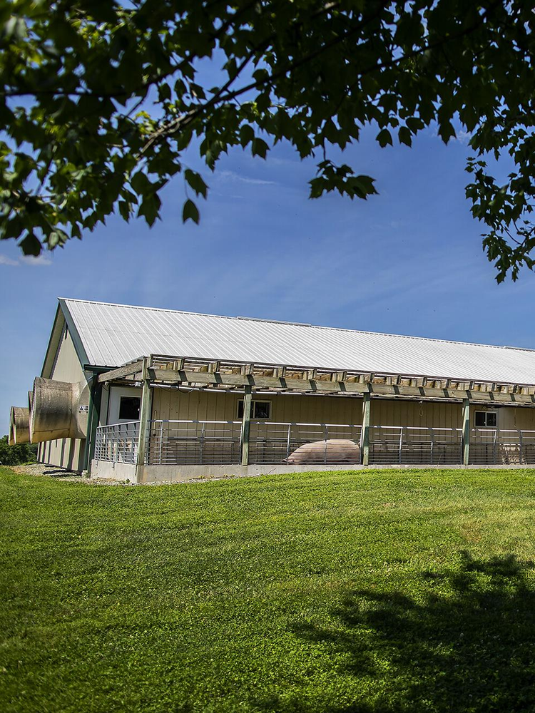 宾夕法尼亚大学