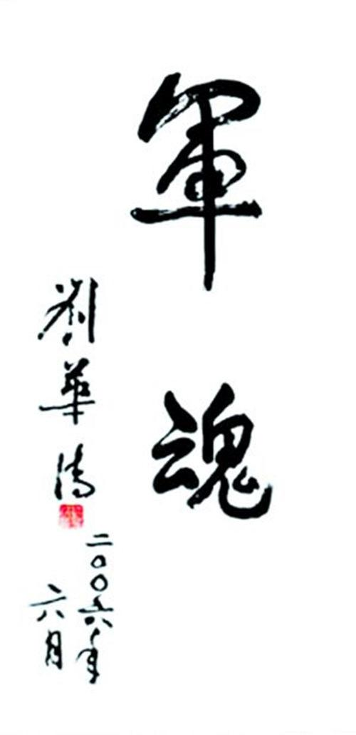 刘华清回忆录