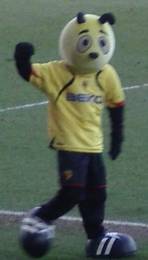 沃特福德足球俱乐部