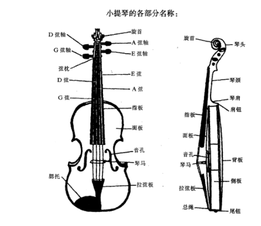 小提琴