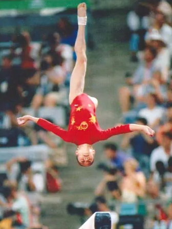 陆莉(前中国女子体操运动员)_百科资料_新农商网