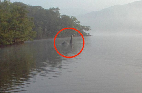 英摄影师意外拍到疑似尼斯湖水怪深水生物.jpeg