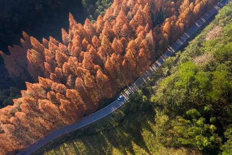 靖州苗族侗族自治县