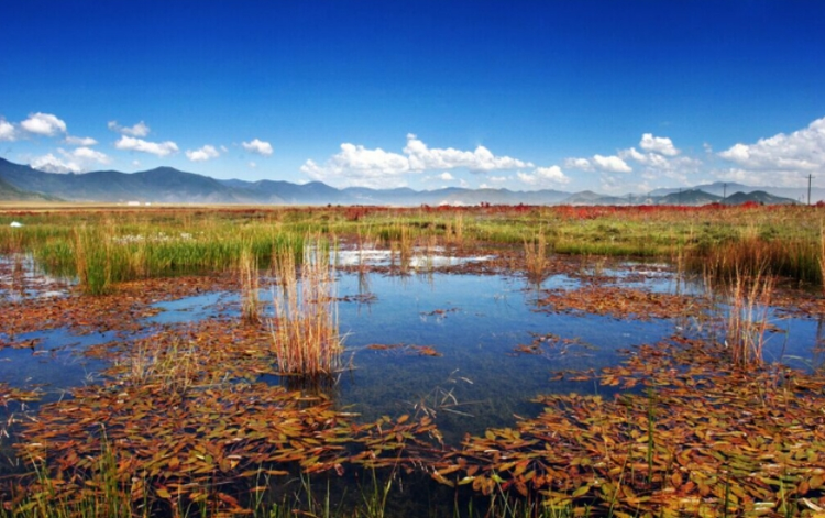 迪庆藏族自治州