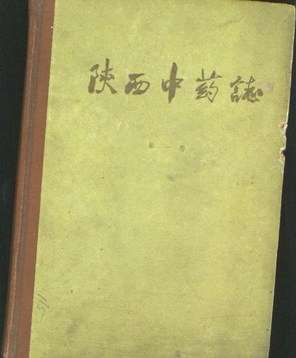 陕西中药志