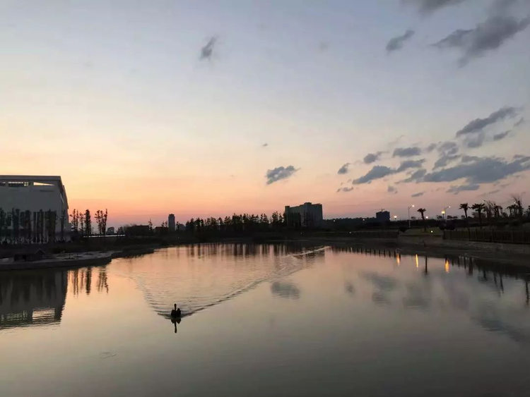 南通大学杏林学院