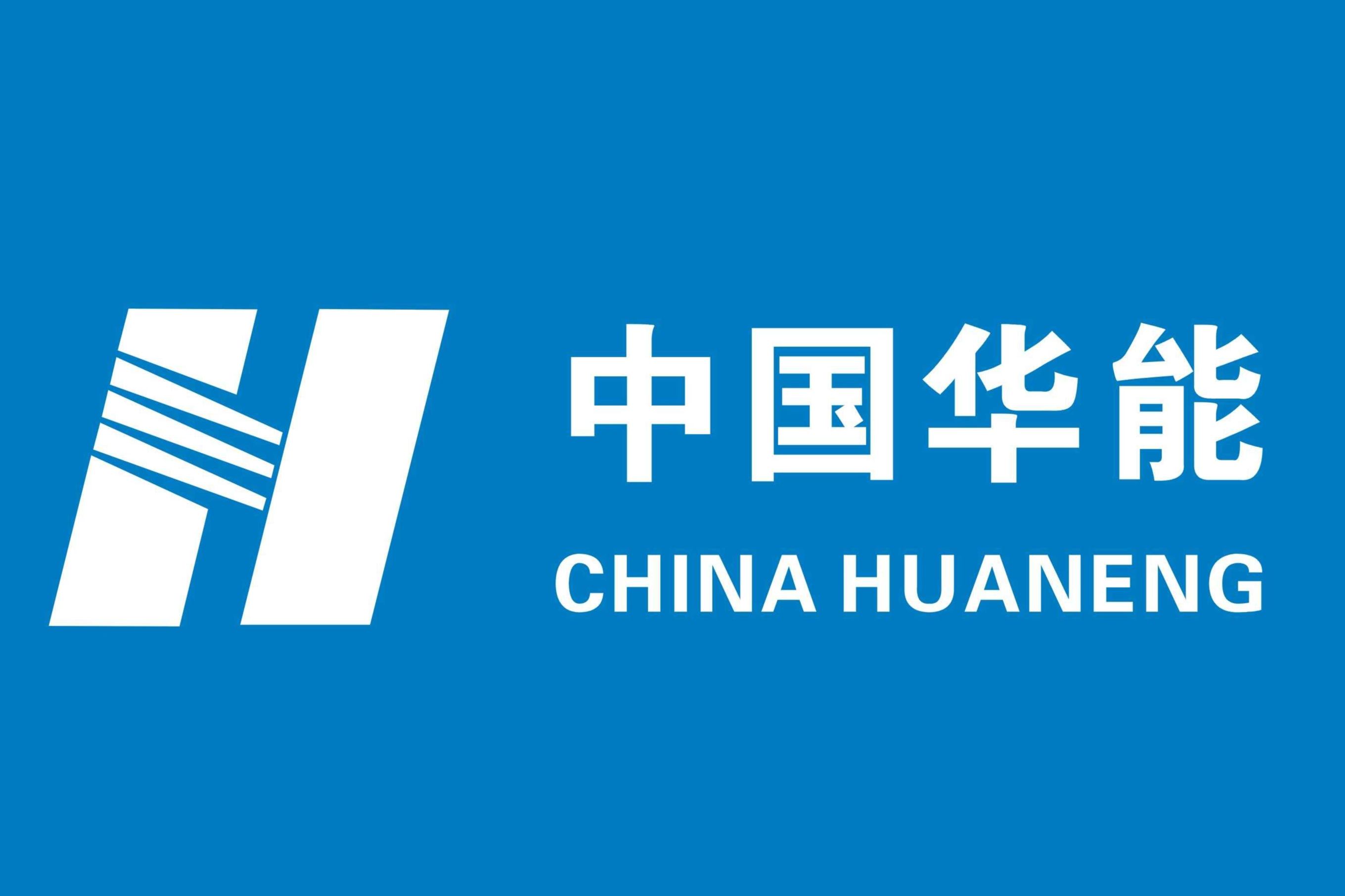 华能（天津）煤气化发电有限公司