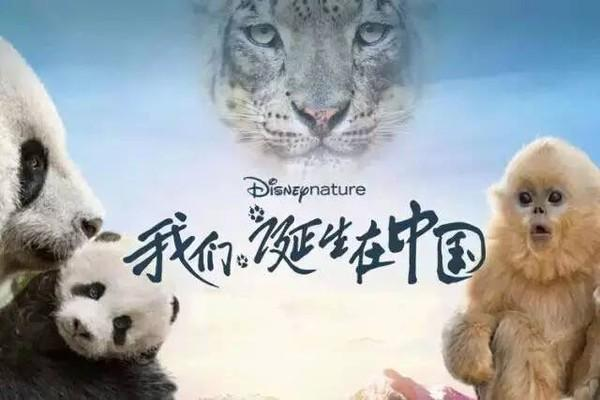 我们诞生在中国