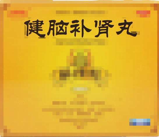 健脑补肾丸