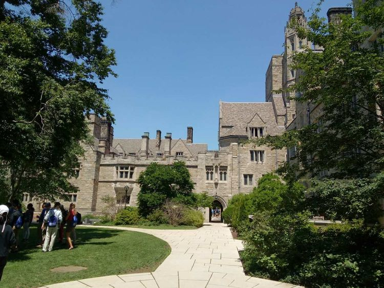 耶鲁大学