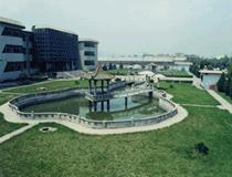 东山村[浙江省临海市江南街道东山村]