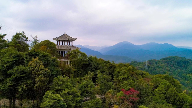 龙门县