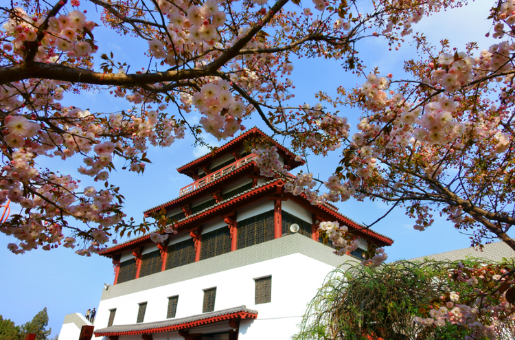 濮阳市