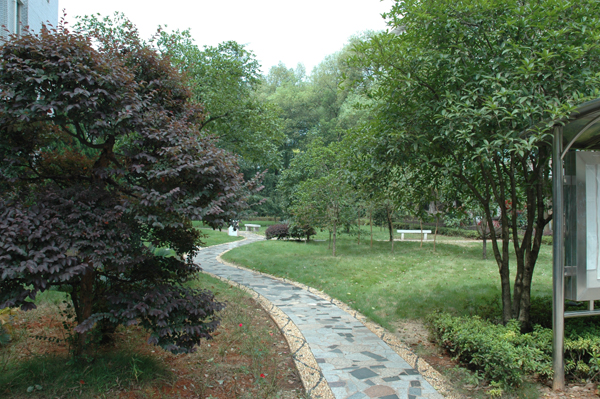 湖南师范大学树达学院