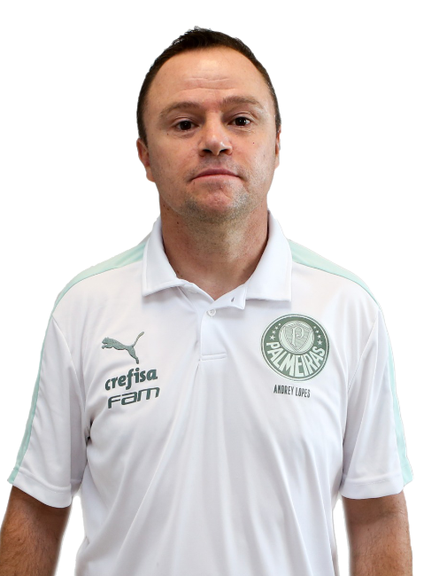 帕尔梅拉斯足球俱乐部