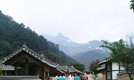 闻庆鸟岭道立公园