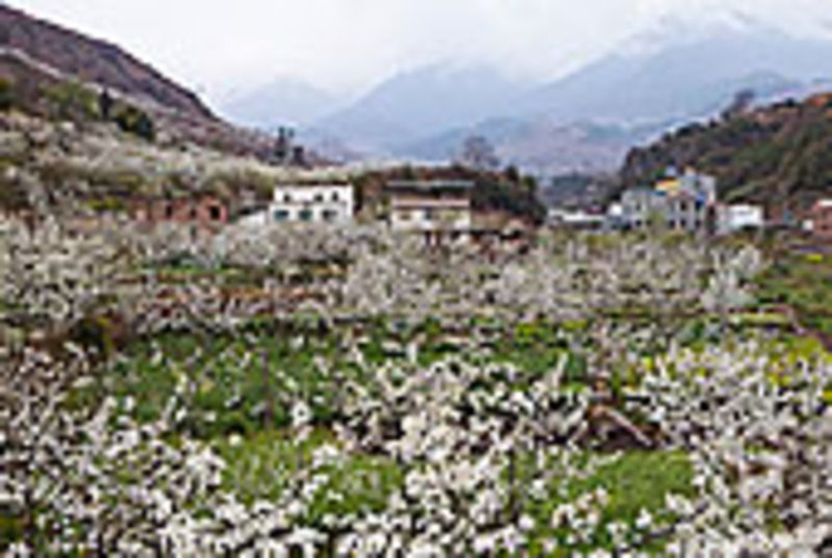 汉源县