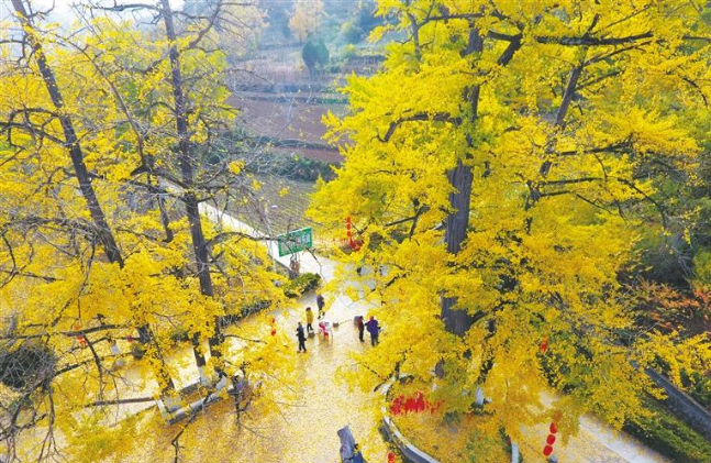 徽县(中国甘肃省陇南市下辖县)_百科资料_新农商网